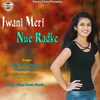About Jawani Meri Nue Radke Song